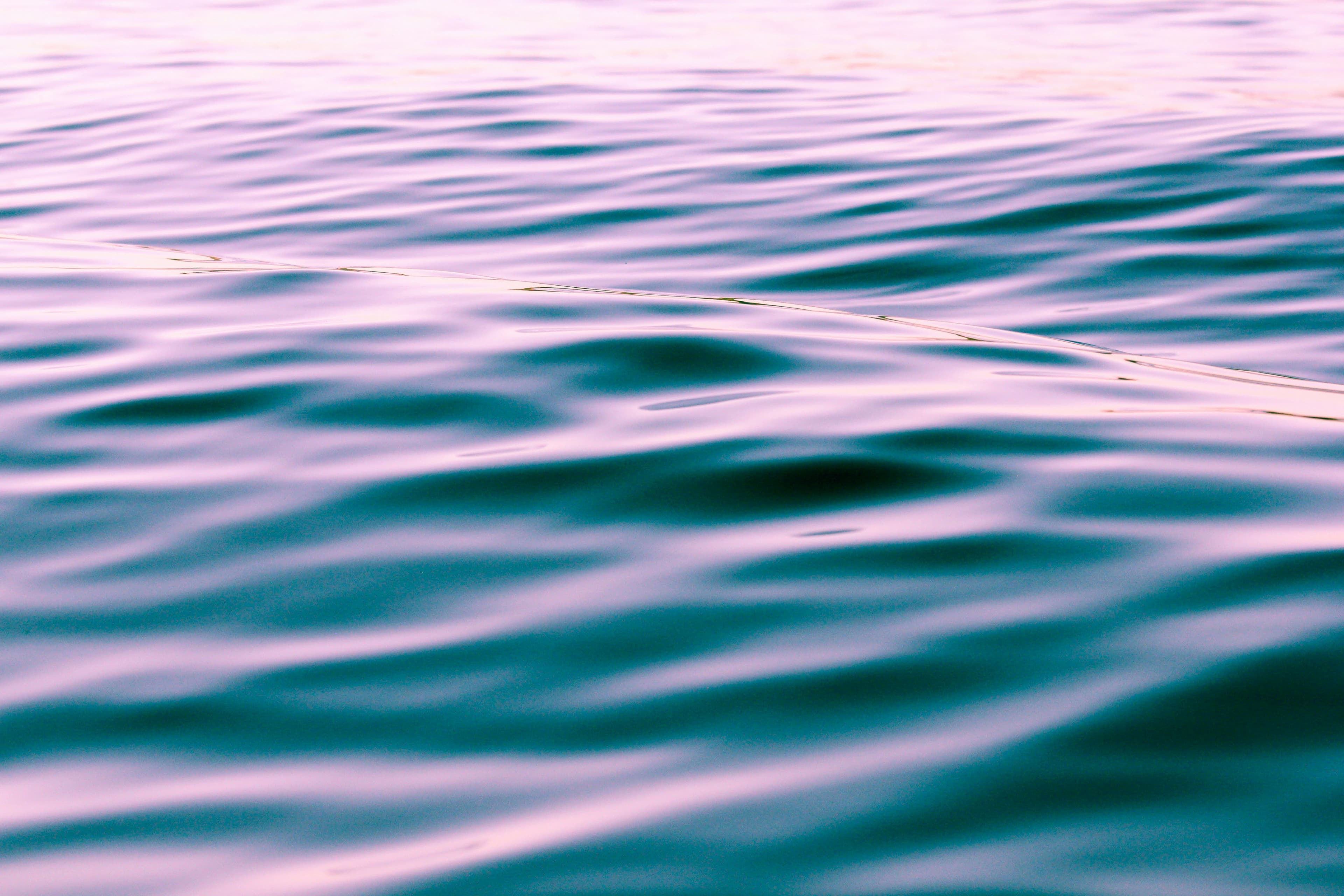 What is Water Cremation AKA Aquamation?