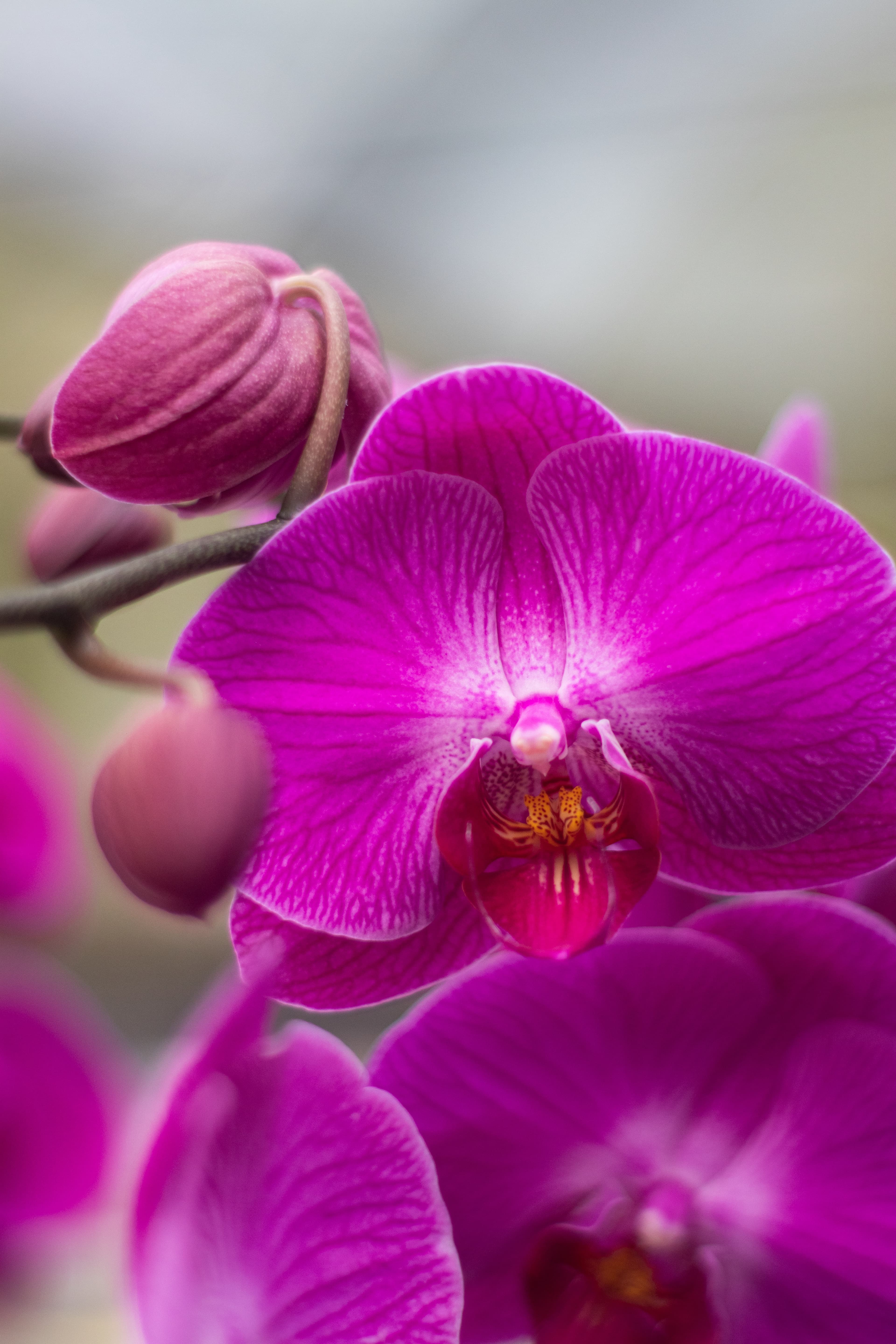 3 Meaningful Ways to Be With Your Person Before Cremation